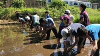 東大合格率No.1の筑駒は水田で生徒を育てる 都心の超進学校が年間を通して稲作する理由