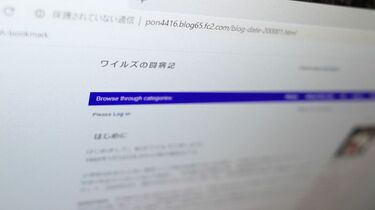 享年17歳の闘病ブログが10年後の今も残る意味 七回忌で更新を止めた