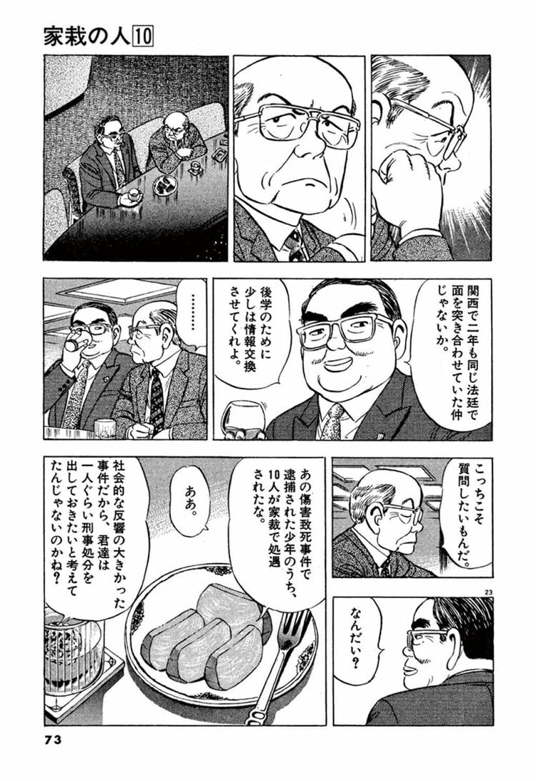 家栽の人 | 19歳の罪を裁く｢家裁の人々｣に課された重い責任 | 漫画