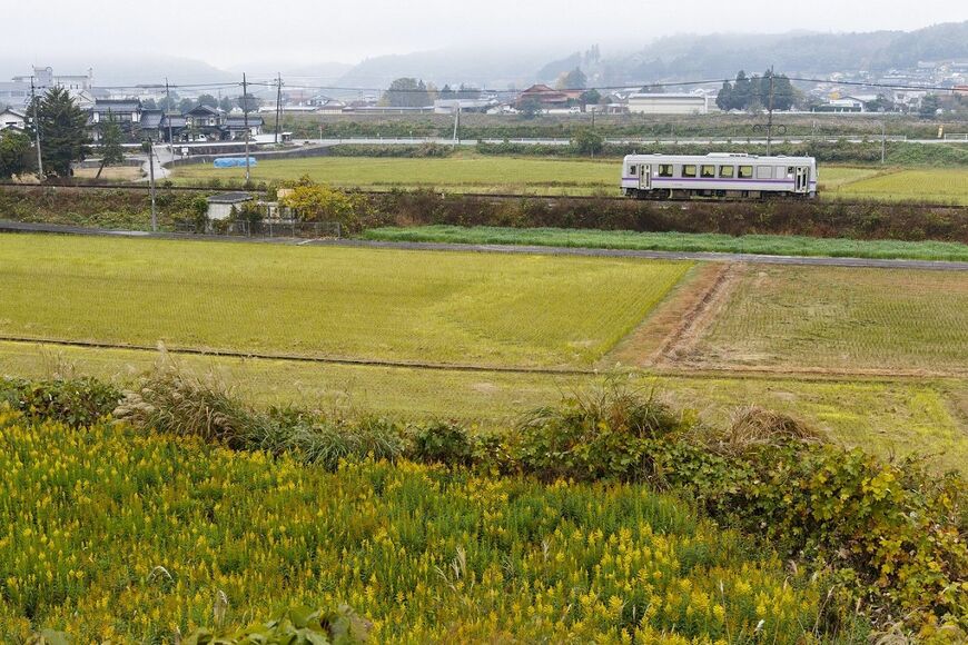 ローカル区間を行く福塩線。府中駅を境に沿線環境が一変する（撮影：鼠入昌史）