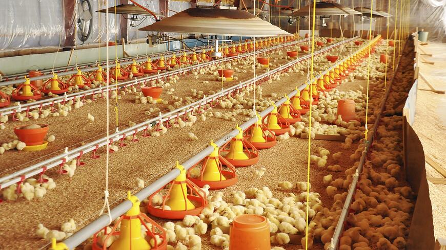 直営・契約の養鶏場で育てた鶏肉でPB商品を製造（写真：業務スーパー提供）