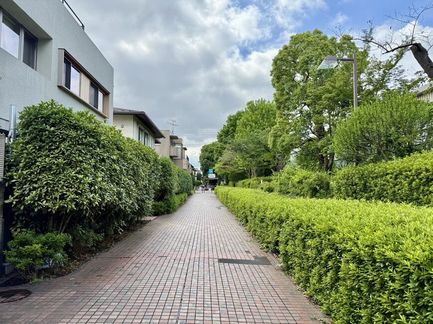 駅周辺の遊歩道（写真：筆者撮影）