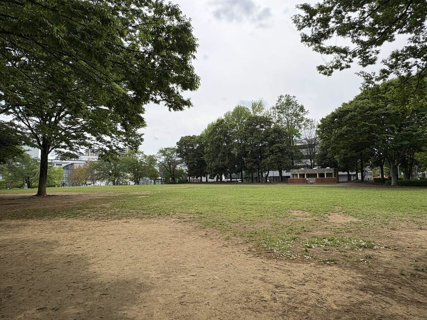 広々とした公園も多い。子連れの家族や犬の散歩をする人がいた（写真：筆者撮影）