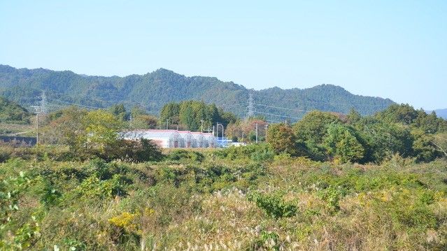 福島県浪江町・室原。かつて177世帯、605人が暮らしていた地区では現在、7世帯10人が居住する(撮影:筆者)