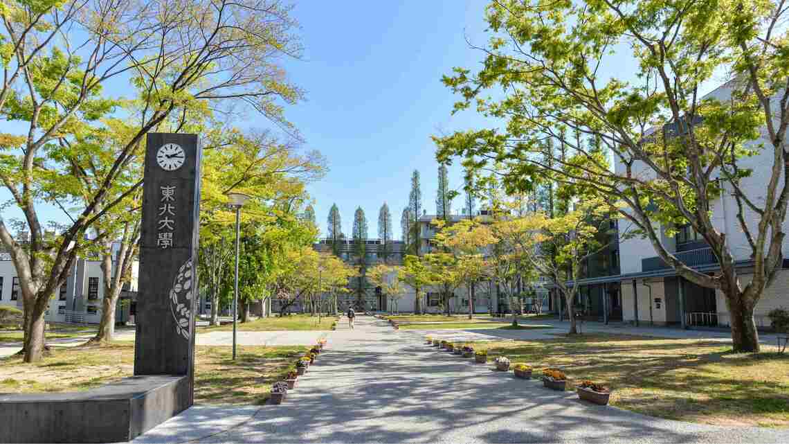 東北大学のPIは世界標準とは異なり、空間的な独立性がない（撮影：大澤誠）