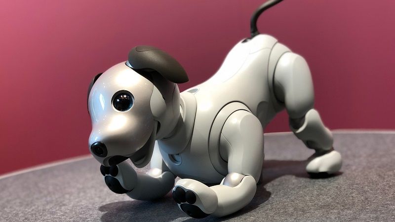 アイボ｣はクラウドとAIで生まれ変わった 異業種コラボで応用ジャンルの