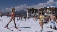 1200人が水着でスキー､ソチで新記録に挑戦 1年前に自分たちが達成した1008人を更新へ