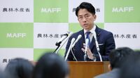 ｢コメ価格高騰｣への対応が握る石破政権の命運