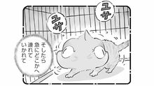 ひろみ猫シッターサービス