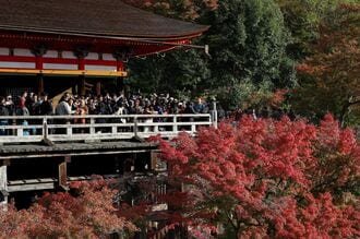 日中関係悪化影響、訪日旅行の3割がキャンセル