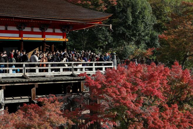 日中関係悪化影響､訪日旅行の3割がキャンセル