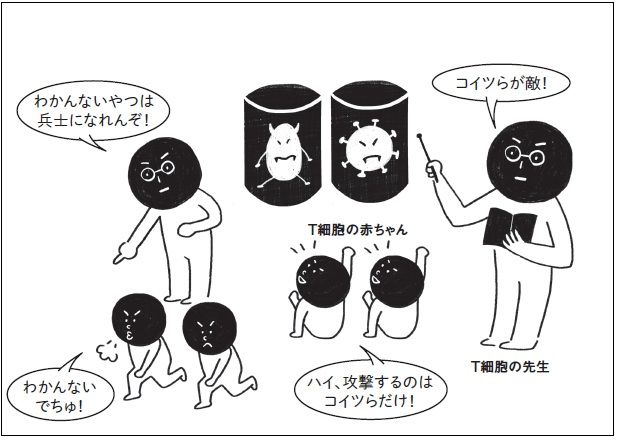 免疫
