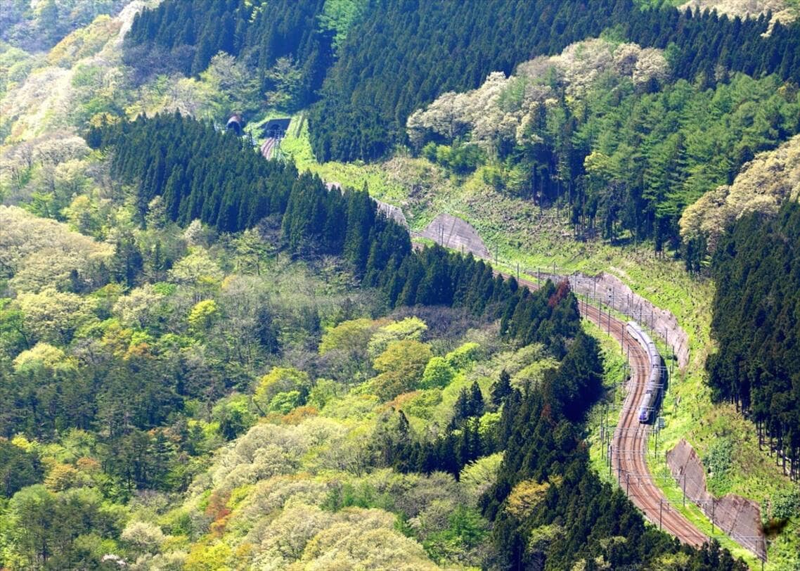 山深い新緑の板谷峠