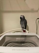 （写真提供：カマタさん）