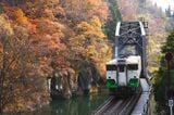 紅葉の第四只見川橋梁を行く列車（撮影：南正時）