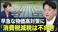 【コメ価格、今までが｢安すぎた｣】消費税減税には約2年かかる？／価格高騰、流通経路に問題／コメを日米関税交渉のカードに？／社会保障の給付と負担／政治家の責任【青山和弘の政治の見方（小野寺五典）】