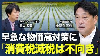 【コメ価格、今までが｢安すぎた｣】消費税減…