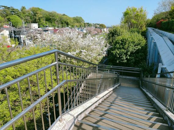 「きたみふれあい広場」に上がる階段から成城の丘方面を見た風景