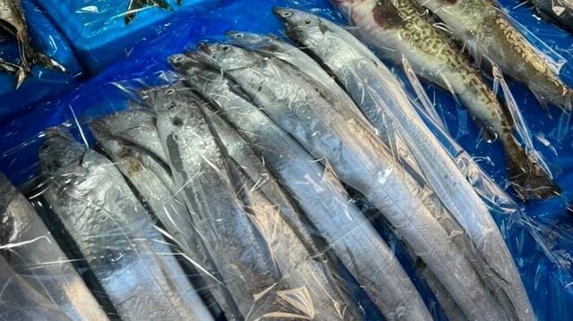 水産資源は誰のものか？「国民共有の財産」となっていない謎