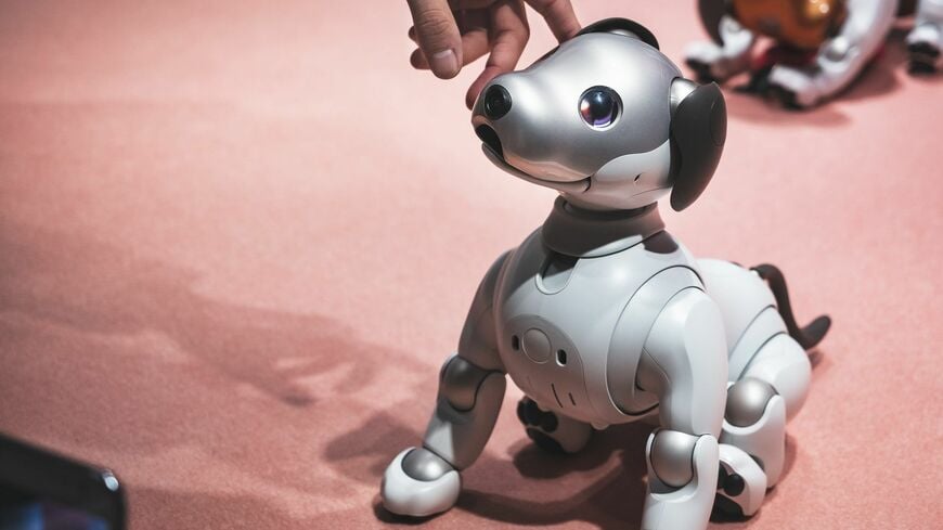 「KANDO」を体現した自律型エンタテインメントロボット「aibo」（写真：VTT Studio／PIXTA）