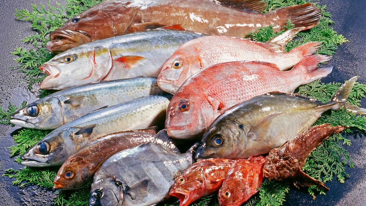 寿司ネタの危機｢天然魚の漁獲量減少｣を救う秘策――進む