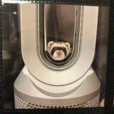 （写真提供：ミキさん）