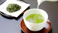 知らないとヤバい！本当に美味いお茶の秘密 伝統の宇治茶職人が教える水の使い方