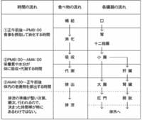 第１回　人の体の構造を知って食べたものの影響を知る