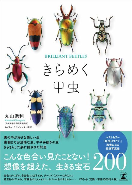こんなにセクシー！｢キラキラ甲虫｣の秘密 昆虫研究者が惚れた､美し
