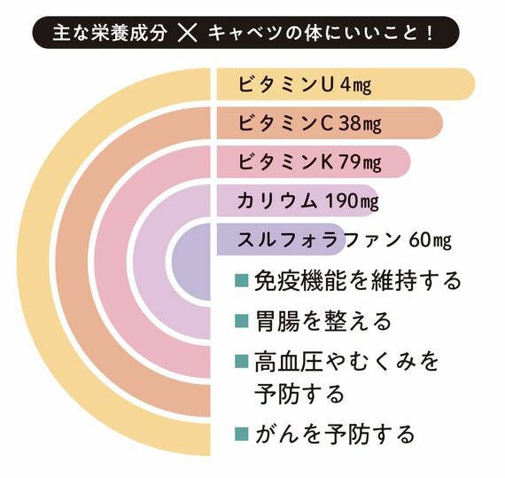 キャベツの主な栄養成分