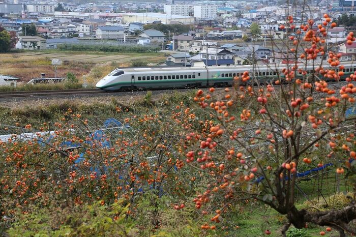 里山の風景を行くE3系「つばさ」