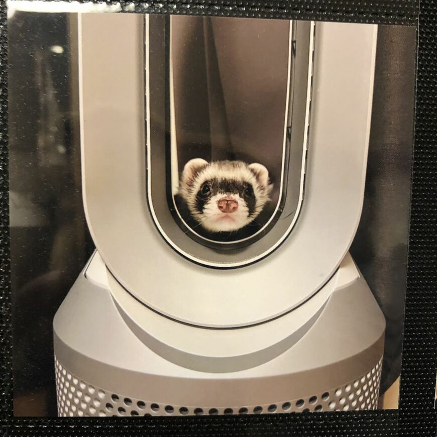 （写真提供：ミキさん）