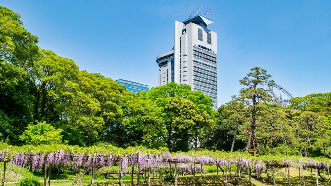 (写真: Masa/PIXTA)