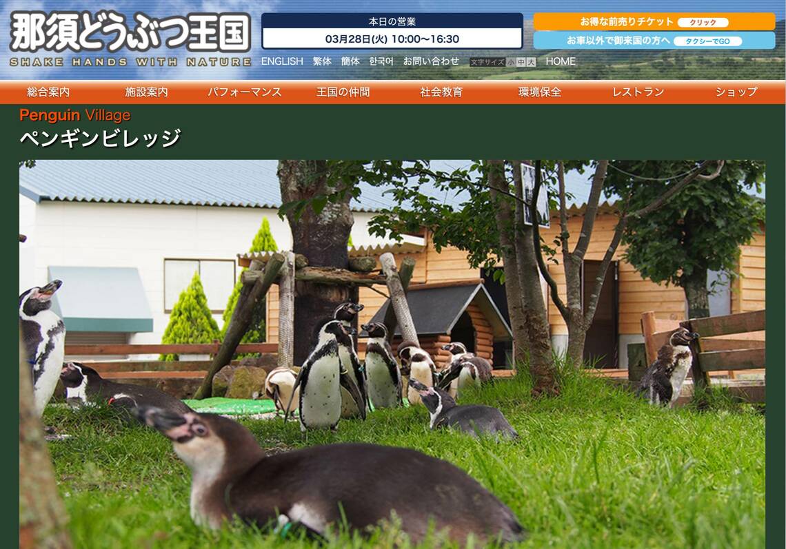 ペンギン