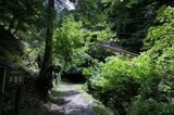 不動坂とケーブルカーの線路（記者撮影）