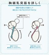 （画像：『世界一わかりやすい 筋肉のつながり図鑑セルフケア編』より）