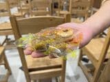 出来立てのパイの実も試食できる（写真：編集部撮影）