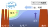 2024年冬予報