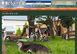 ペンギン