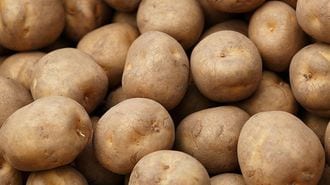 強い中毒を引き起こす｢身近にある｣野菜