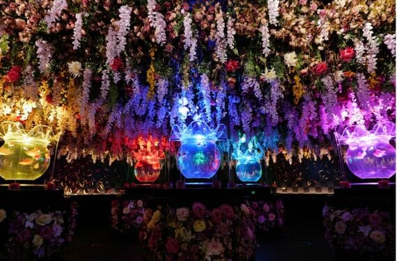 アートアクアリウム