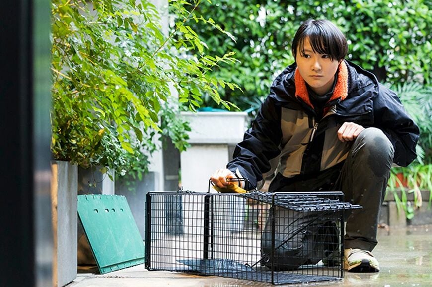 行方がわからなくなった迷子のペットを見つけ出し、捕まえる「ペット探偵」という仕事。ペット探偵として日夜奮闘する遠山敦子さんに、ペット探偵の流儀を聞いた（写真：Woman type）
