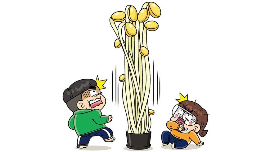 となりのきょうだい