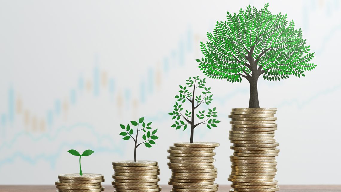 積まれたコインから成長する木