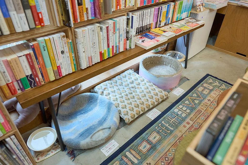 本棚の下には水飲み場や爪とぎスペースが（写真撮影：小原聡太）