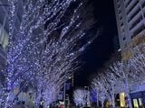 六本木ヒルズ