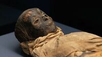 ｢ミイラ43体｣に隠されたそれぞれの人間ドラマ 大盛況｢ミイラ展｣はこう見ると面白い