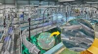 魚の棲みかは工場の水槽！サーモンは陸で育てる 新進気鋭のベンチャー､FRDが立ち向かう難路