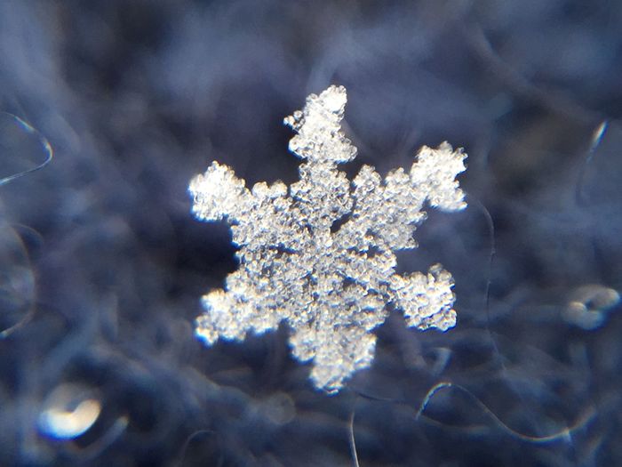 純白だけど注意 雪 は食べない方がいい理由 天気 天候 東洋経済オンライン 社会をよくする経済ニュース