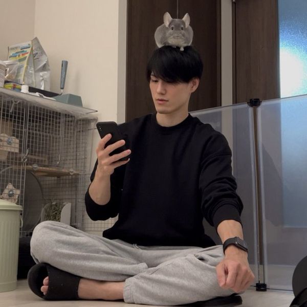 ぺぺくんはチンチラでも社交的。一真さんの肩や頭にもよく飛び乗ってくる（写真：一真さん提供）